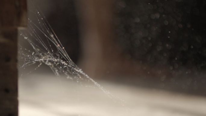 蜘蛛网与尘埃慢运动