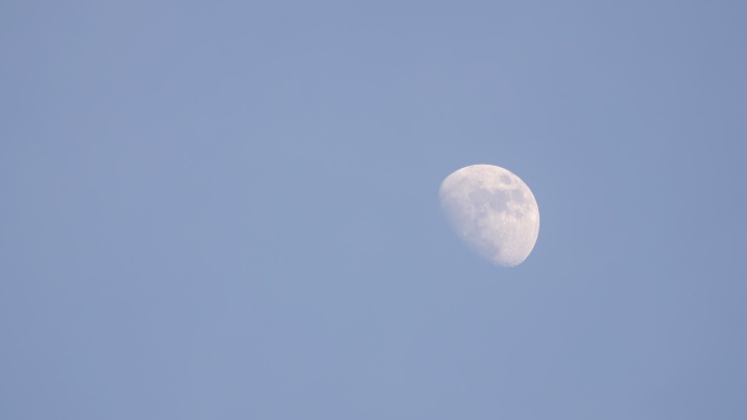 月亮日半月