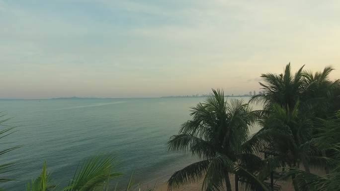 鸟瞰图；椰子树与海景一起映照着日出黎明的海面。
