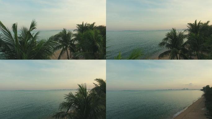 鸟瞰图；椰子树与海景一起映照着日出黎明的海面。