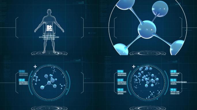 生物科技分子肽分子穿梭