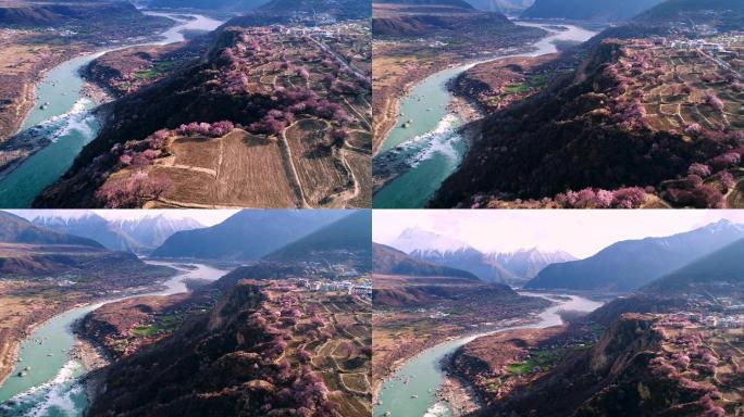 西藏林芝雅鲁藏布大峡谷索松村桃花盛开航拍