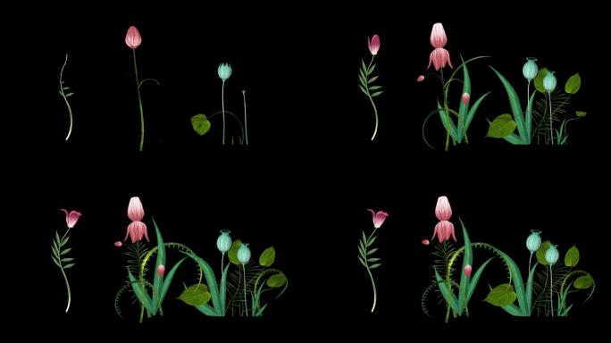 三维-3组手绘插画感花朵生长片头2