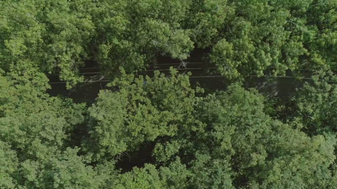 鸟瞰绿林与汽车穿过空旷的道路