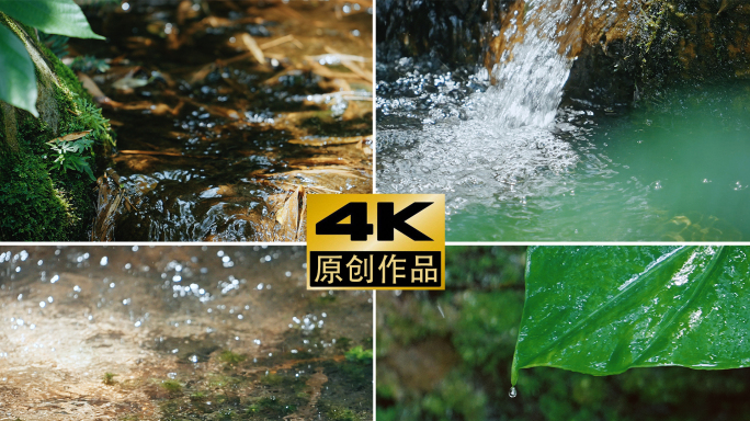 4k山涧水资源清泉溪流水清澈见底光影实拍