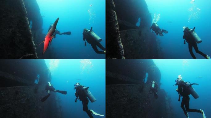 人们在水下探索沉船的4k视频片段