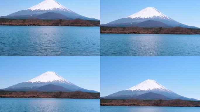 富士山离朔矶湖；移位运动