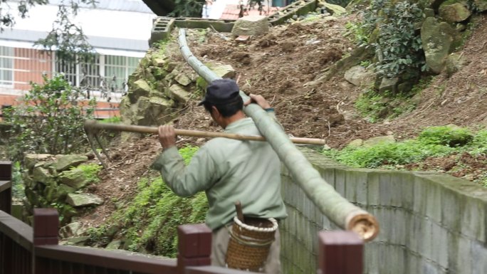 江南浙江农村农民背毛竹下山实拍原素材