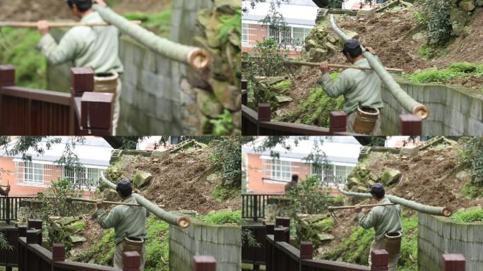 江南浙江农村农民背毛竹下山实拍原素材