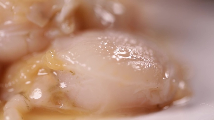 【镜头合集】海鲜扇贝吃扇贝(2)