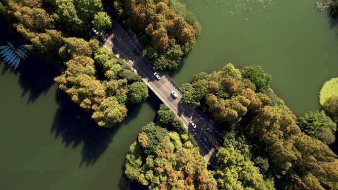 穿过湖泊和树木区域的道路鸟瞰图