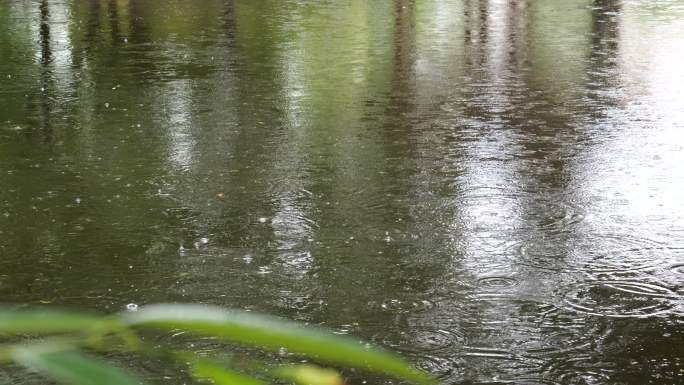 湖面雨景湖面倒影