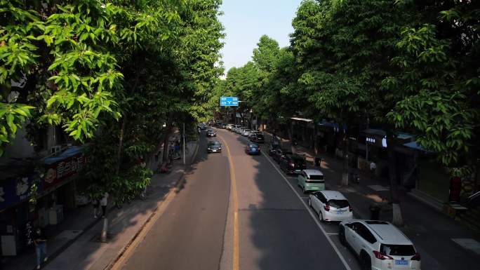 沿途风景车前窗外道路风景