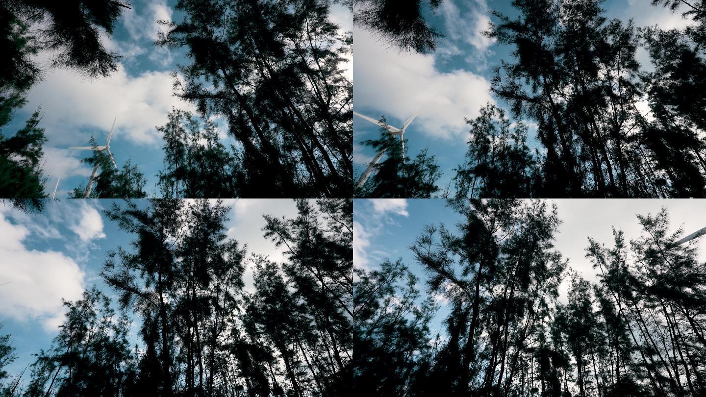 蓝天白云树林风车