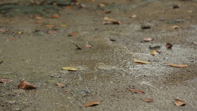 下雨的声音