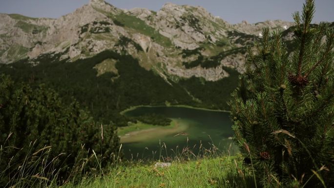 心形Trnovacko湖-黑山