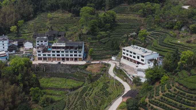 福建福鼎山区白茶产区茶园梯田茶农山区住宅