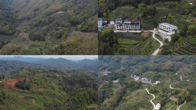 福建福鼎山区白茶产区茶园梯田茶农山区住宅