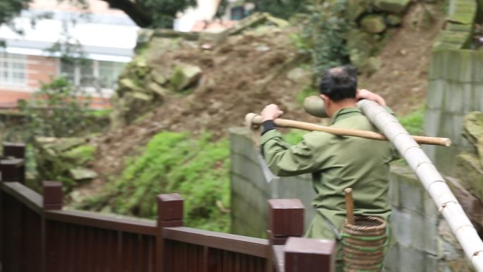 江南 浙江农村农民 背毛竹下山实拍原素材