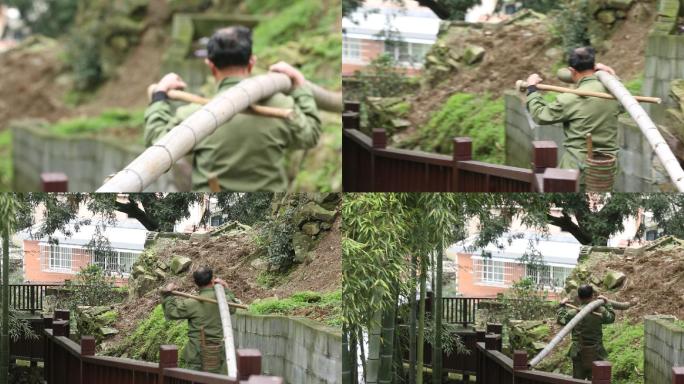 江南 浙江农村农民 背毛竹下山实拍原素材