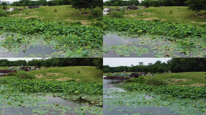 四川省成都市龙泉驿区青龙湖湿地公园航怕