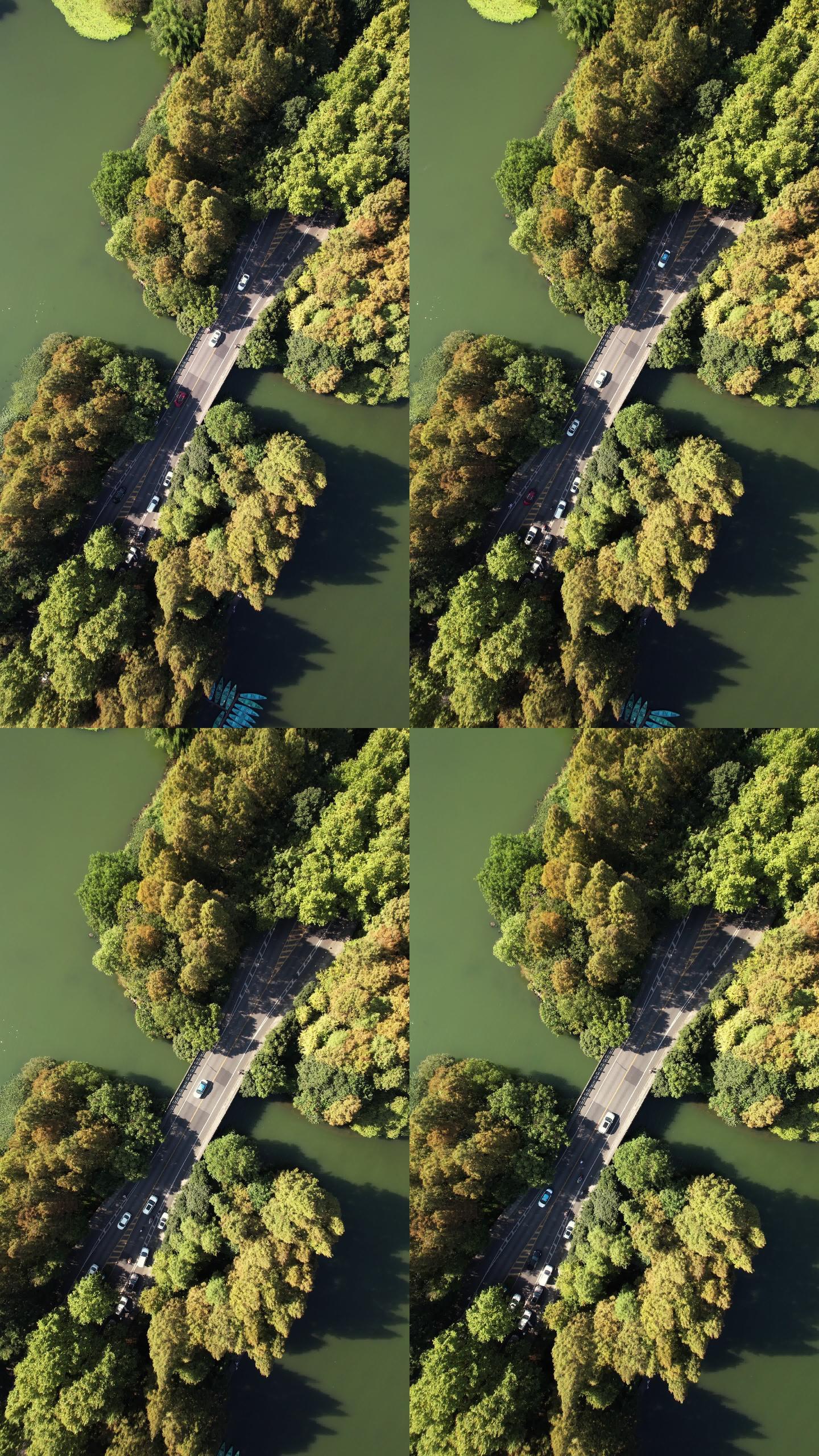通过湖泊和树木区域的道路T/L鸟瞰图