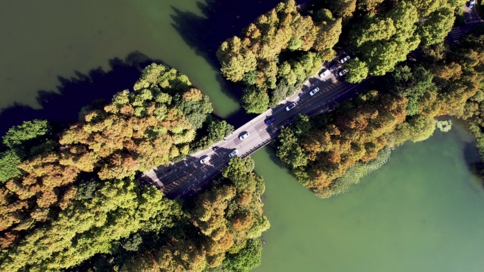 穿过湖泊和树木区域的道路鸟瞰图