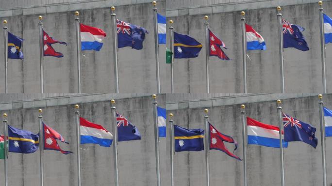 联合国国旗联合国国旗