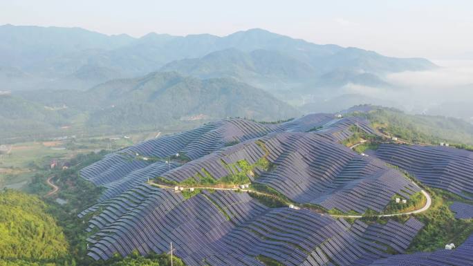 雾中美丽山顶太阳能电站鸟瞰图