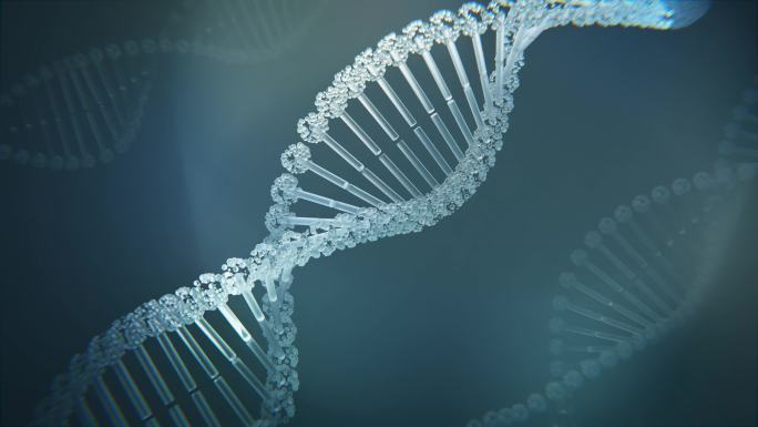 DNA健康科技医疗