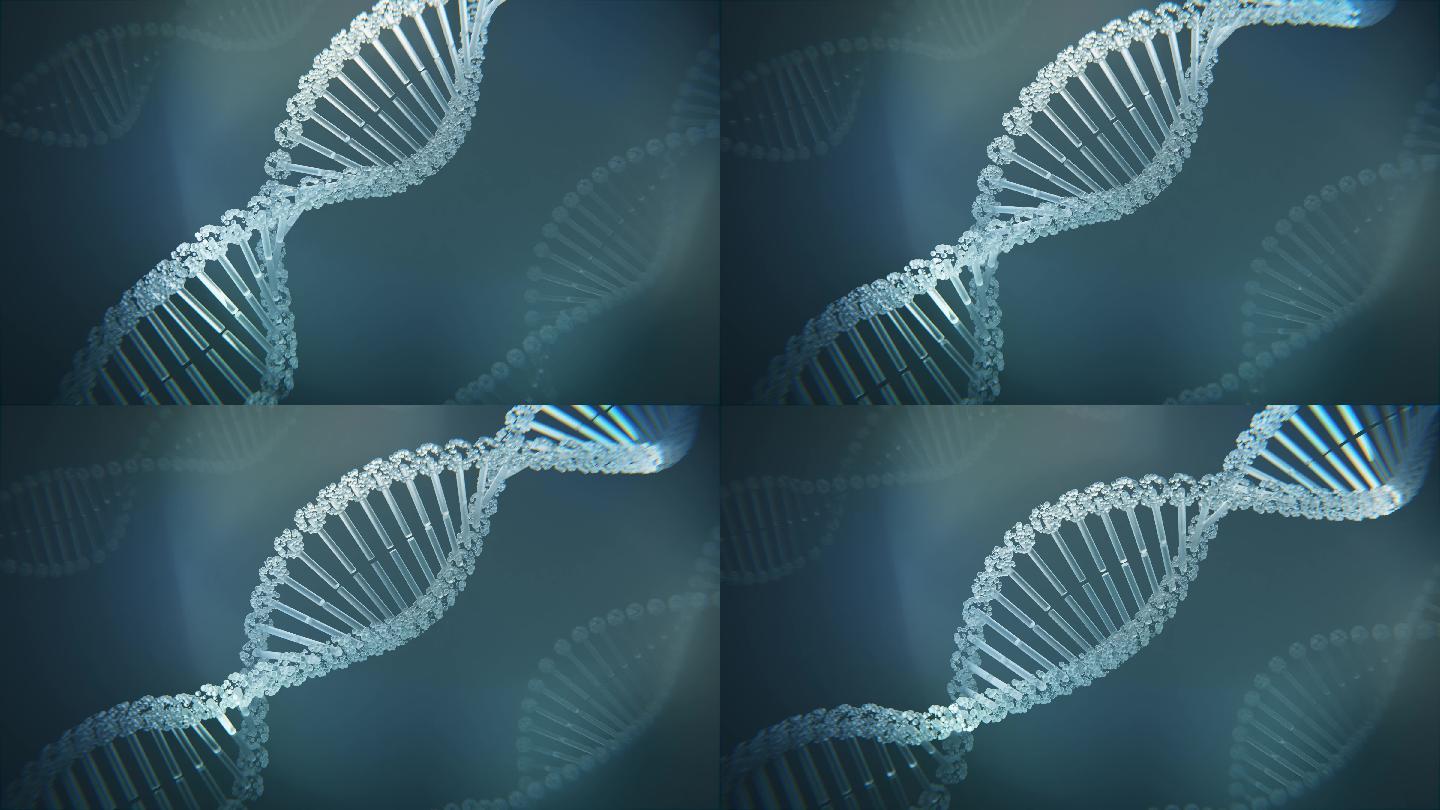 DNA健康科技医疗