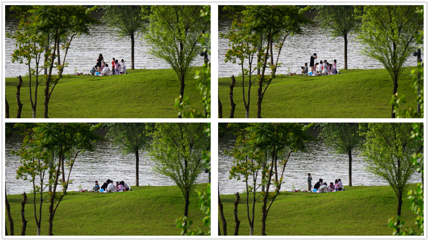 河边草地上野餐