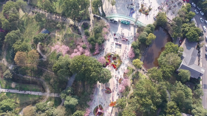 航拍重庆高空下的南山植物园南山风景区