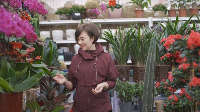 女人去花市挑选绿植左右观看欣赏逛花鸟市场