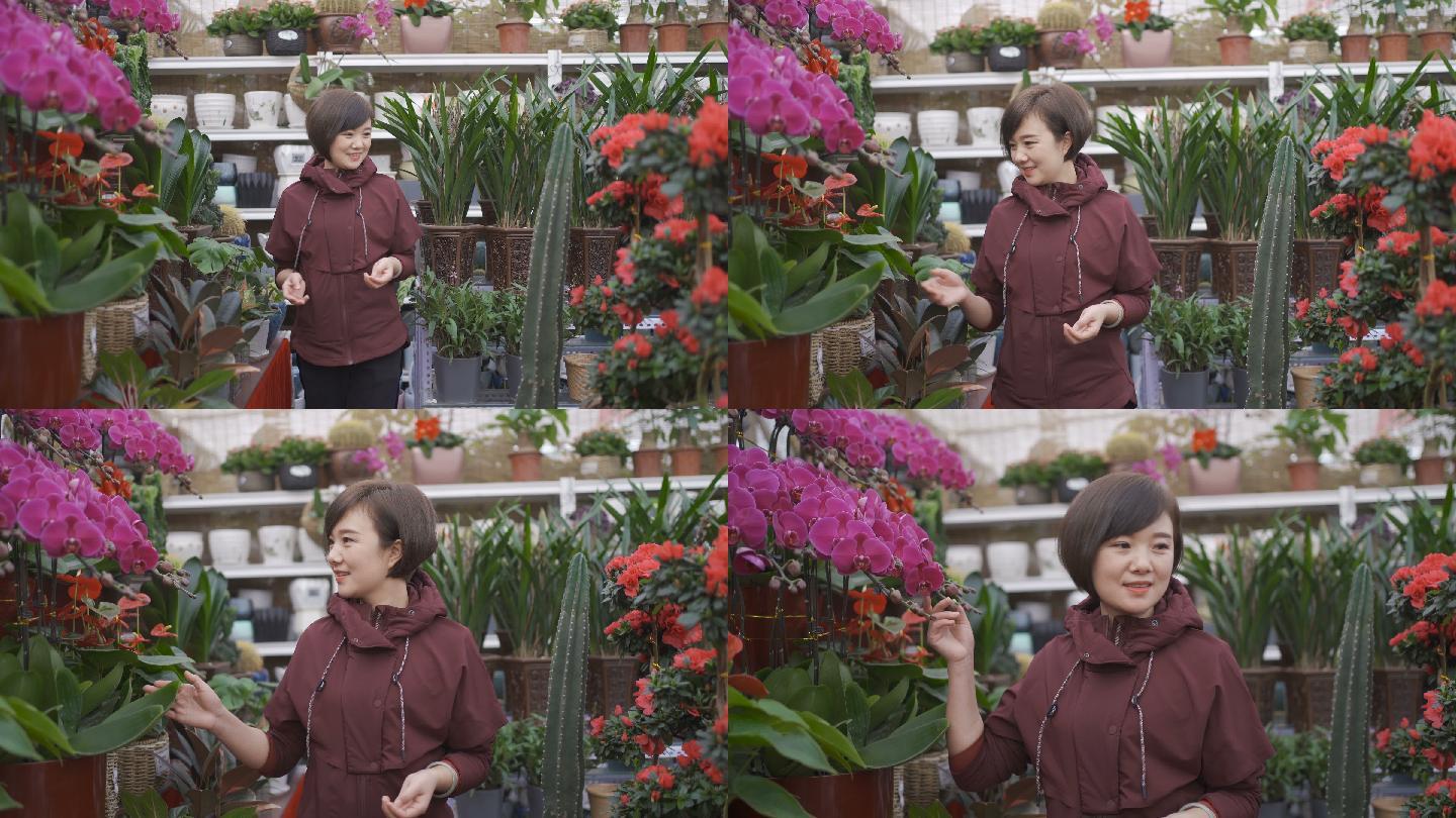 女人去花市挑选绿植左右观看欣赏逛花鸟市场