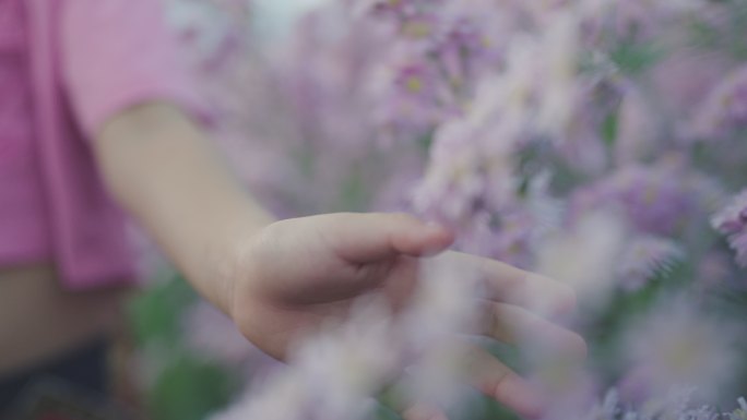 慢动作。女孩的手抚摸着白花的花朵。