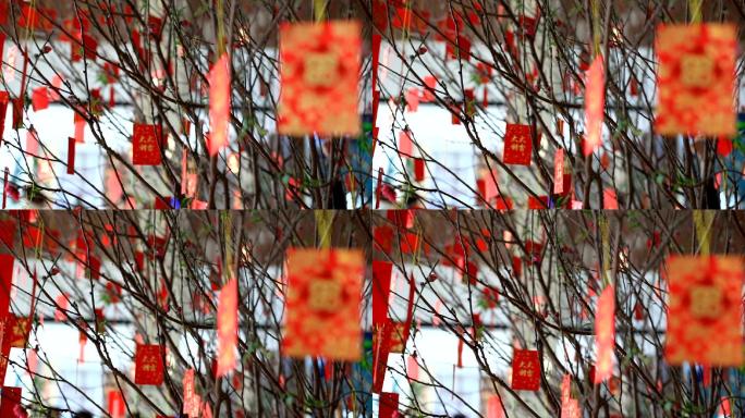 春节树上挂红包好运吉祥好彩头