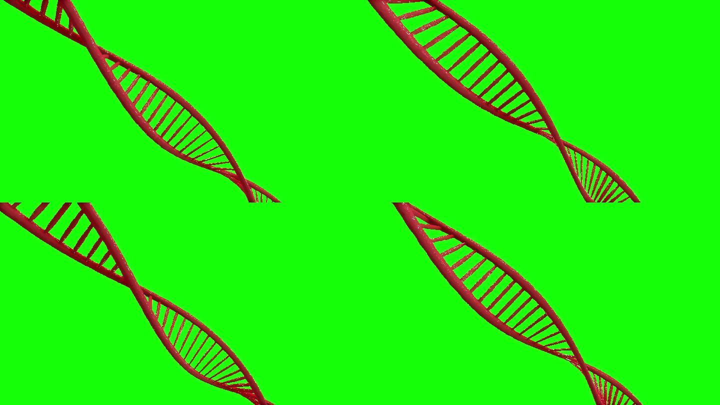 带有绿色屏幕或色度键背景的DNA链图示。摘要3D发光旋转DNA双螺旋。技术、科学、医学健康和解剖学的