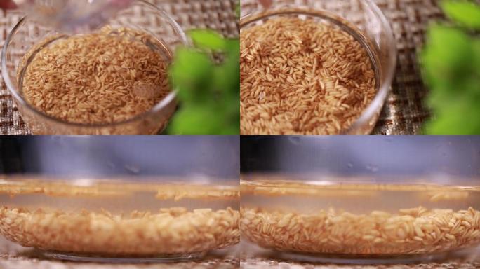 【镜头合集】浸泡高粱燕麦制作粗粮饭