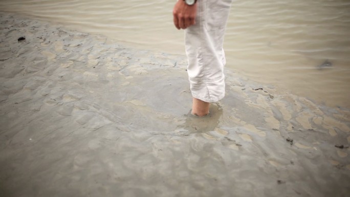 陷入泥潭泥淖湿地污染