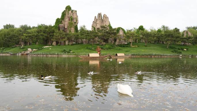 山水场景天鹅鸭子在水面游动