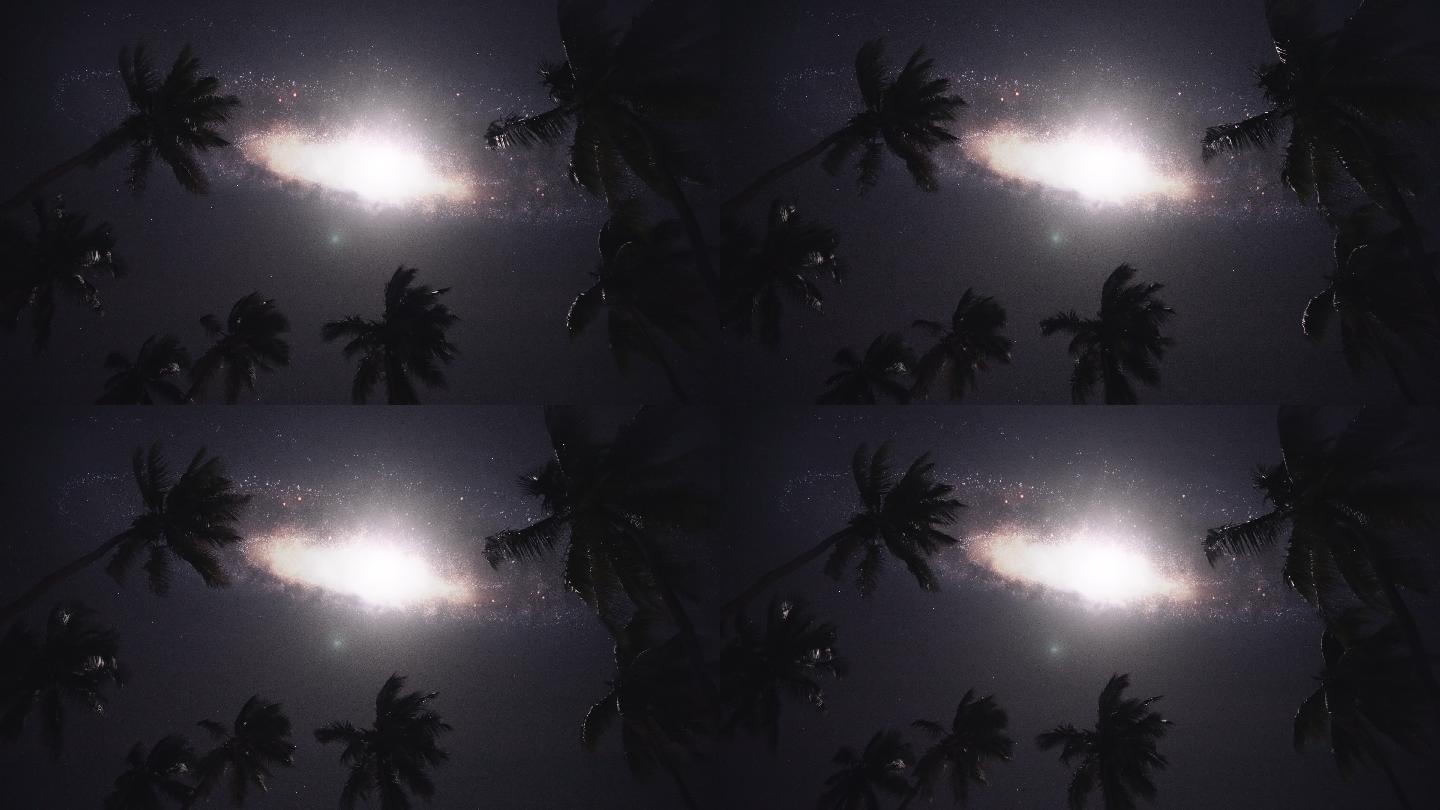 月光穿过棕榈叶。黑暗天空中的星系