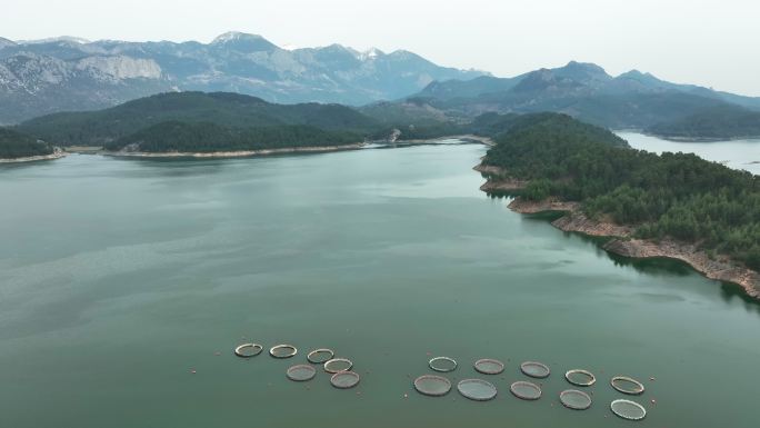 渔场鸟瞰图湖海养殖场