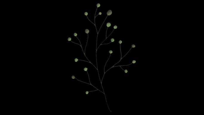 无插件6个植物树叶生长mg动画
