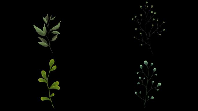 无插件6个植物树叶生长mg动画