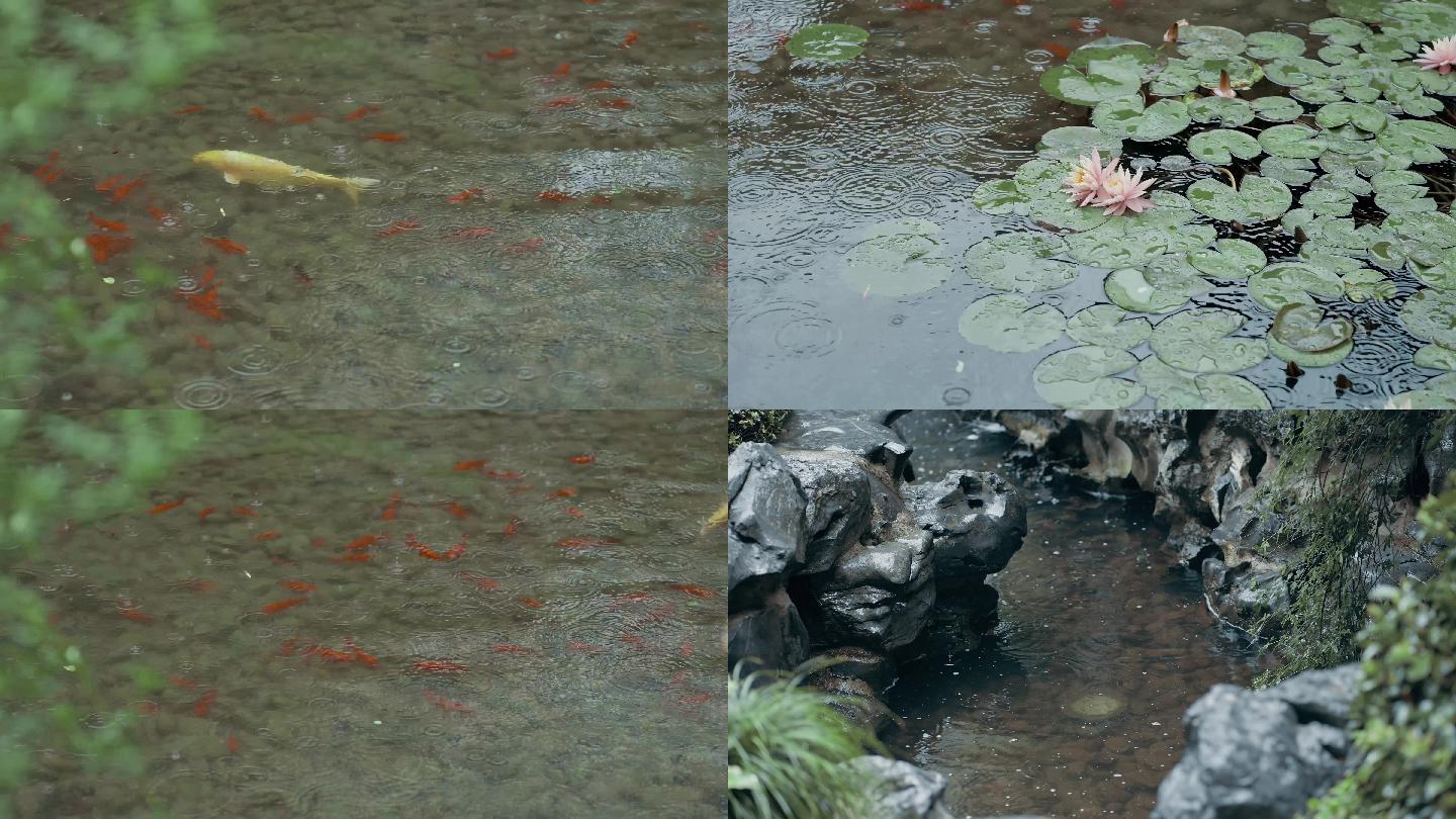 雨景水系4K高清视频