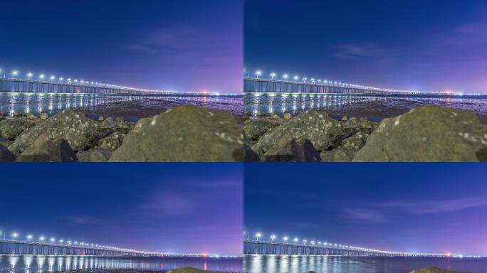 【正版原创实拍】西湾红树林广深高速大桥