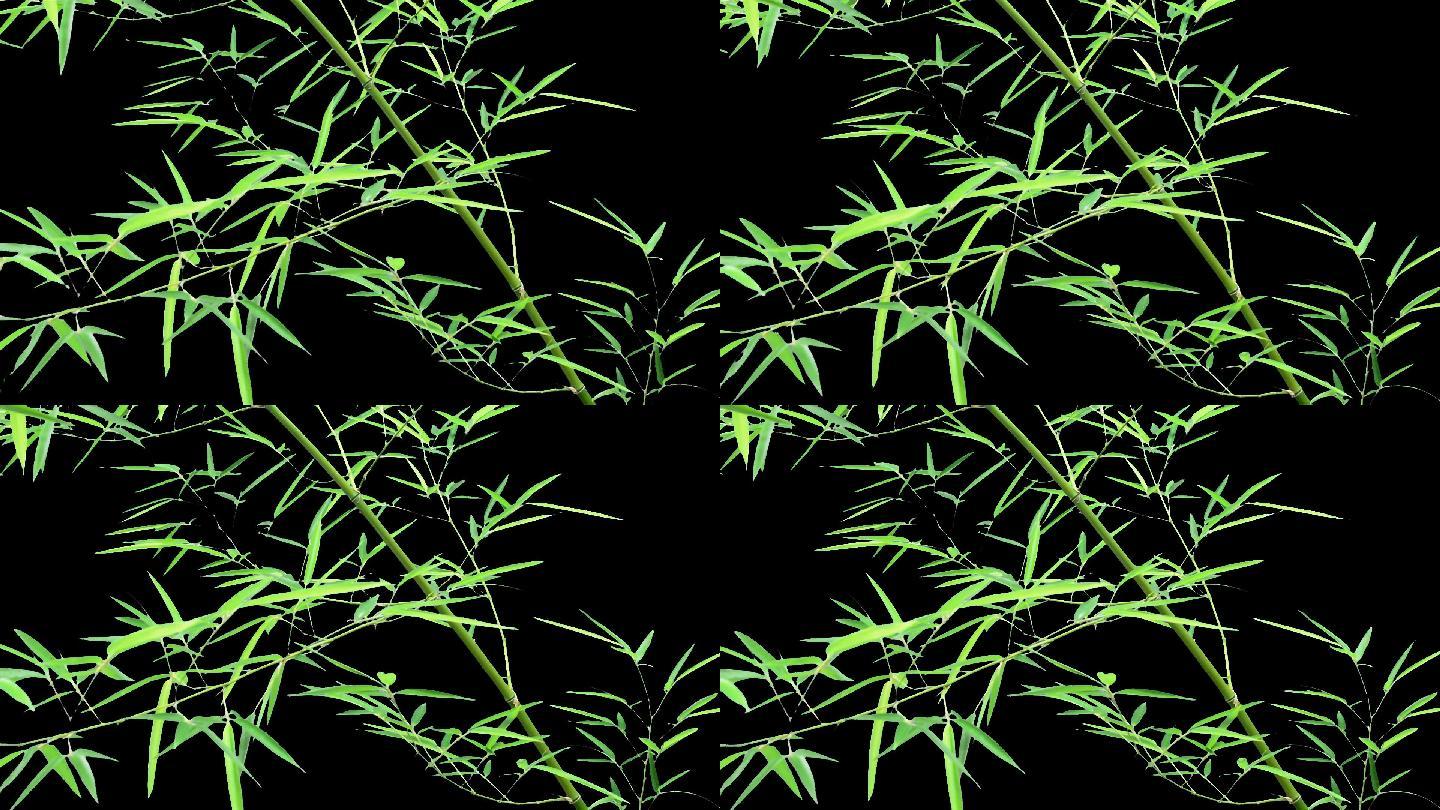 实拍竹子竹叶飘荡视频素材透明通道