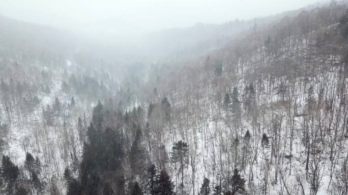 雪乡雪谷航拍