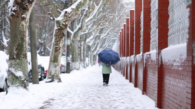 孩子雪中玩耍